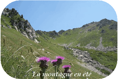 La montagne en été, gîte en Isère. Au Vieux Four à Pain. Votre hébergement de vacances à Allevard.